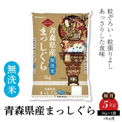 無洗米 青森県産まっしぐら 5Kg　※定期便6回　　H074-395