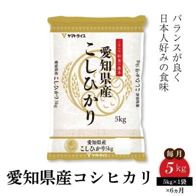 愛知県産コシヒカリ 5Kg　※定期便6回　H074-661