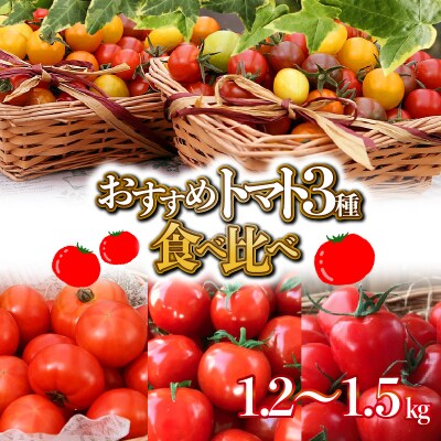 【個数限定】トマト3種 食べ比べ 1.2～1.5kg　長田農園しかできない夢の共演　H004-148