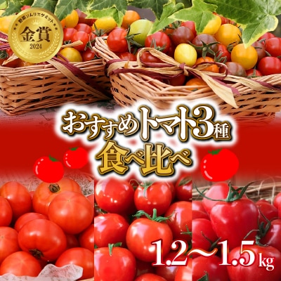 【個数限定】トマト3種 食べ比べ 1.2～1.5kg　長田農園しかできない夢の共演　H004-148