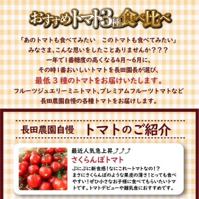 【個数限定】トマト3種 食べ比べ 1.2～1.5kg　長田農園しかできない夢の共演　H004-148