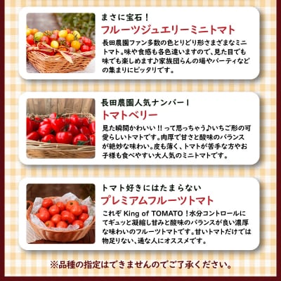 【個数限定】トマト3種 食べ比べ 1.2～1.5kg　長田農園しかできない夢の共演　H004-148