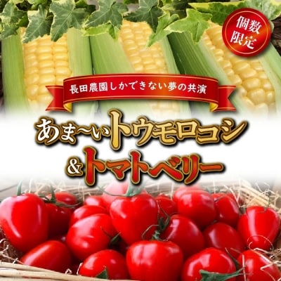 【個数限定】あま～いトウモロコシ&トマトベリー　長田農園しかできない夢の共演　H004-158
