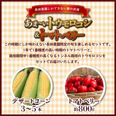 【個数限定】あま～いトウモロコシ&トマトベリー　長田農園しかできない夢の共演　H004-158