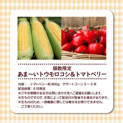 【個数限定】あま～いトウモロコシ&トマトベリー　長田農園しかできない夢の共演　H004-158
