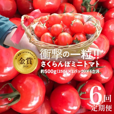 新食感!!さくらんぼミニトマトの定期便約500g×6回コース H004-190
