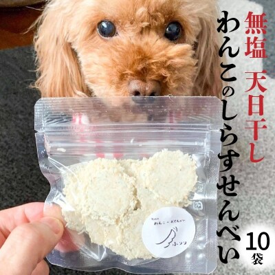 無塩 天日干し わんこのしらすせんべい10袋 ペットフード犬 おやつ ペットおやつ H063-020