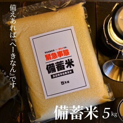備えあれば“へーきなん”です 備蓄米 5kg 無洗米 真空パック 備蓄食