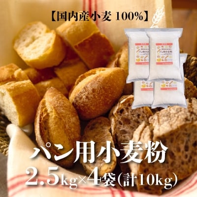 【小麦粉】国内産100% パン用 小麦粉 強力粉 2.5kg×4袋(計10kg)　H008-126