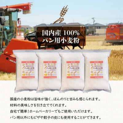 【小麦粉】国内産100% パン用 小麦粉 強力粉 2.5kg×4袋(計10kg)　H008-126