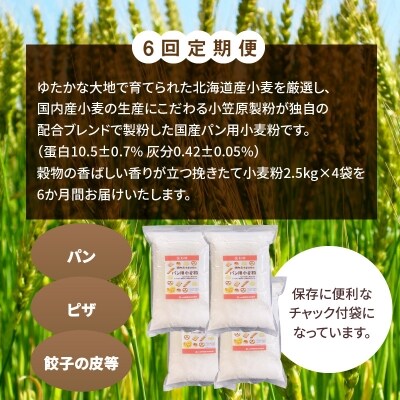 【小麦粉】国内産100% パン用 強力粉 2.5kg×4袋(計10kg)定期便6回H008-142