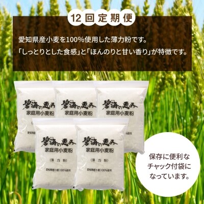 【小麦粉】碧海の恵み 薄力粉 国産 愛知県産 800g×5袋 定期便12回　H008-158