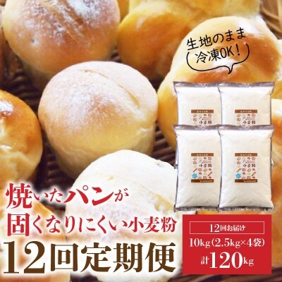 焼いたパンが固くなりにくい小麦粉 10kg(2.5kg×4袋) 定期便12回　H008-155