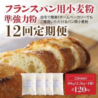 フランスパン用小麦粉 準強力粉 10kg(2.5kg×4袋) 定期便12回　H008-152