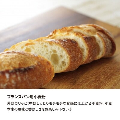 フランスパン用小麦粉 準強力粉 10kg(2.5kg×4袋) 定期便6回　H008-151