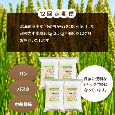 【小麦粉】国産 ゆめちから パン用 強力粉 2.5kg×4袋 定期便12回 H008-149