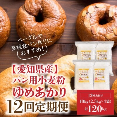 【小麦粉】愛知県産 ゆめあかり 国産 パン用強力粉 2.5kg×4袋 定期便12回 H008-146