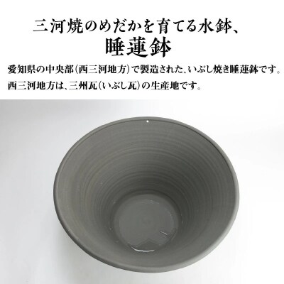 三河焼の職人が作るめだか鉢(めだかの池 手造り 18号 いぶし)　H100-039