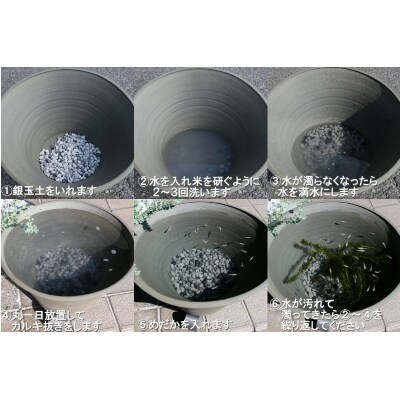 三河焼の職人が作るめだか鉢(めだかの池 手造り 18号 いぶし)　H100-039