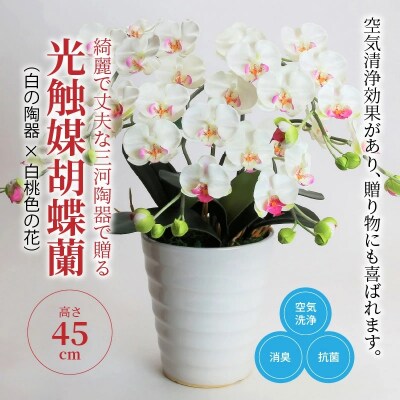 綺麗で丈夫な三河陶器で贈る 光触媒胡蝶蘭小輪3本立(白の陶器×白桃色の花)　H100-052