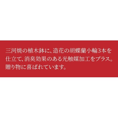 綺麗で丈夫な三河陶器で贈る 光触媒胡蝶蘭大輪5本立(モエギの陶器×白色の花)　H100-043