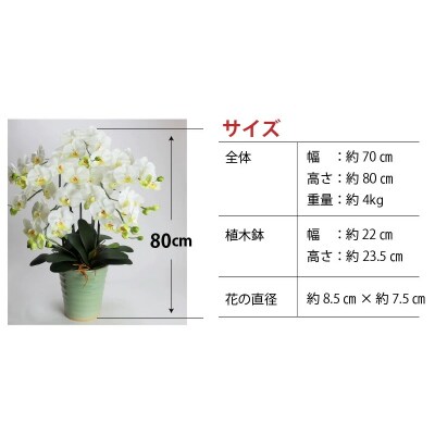 綺麗で丈夫な三河陶器で贈る 光触媒胡蝶蘭大輪5本立(モエギの陶器×白色の花)　H100-043