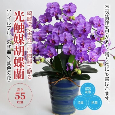綺麗で丈夫な三河陶器で贈る 光触媒胡蝶蘭小輪5本立(ナイルブルーの陶器×紫色の花)　H100-042