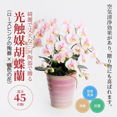 綺麗で丈夫な三河陶器で贈る 光触媒胡蝶蘭小輪3本立(ローズピンクの陶器×桃色の花)　H100-047