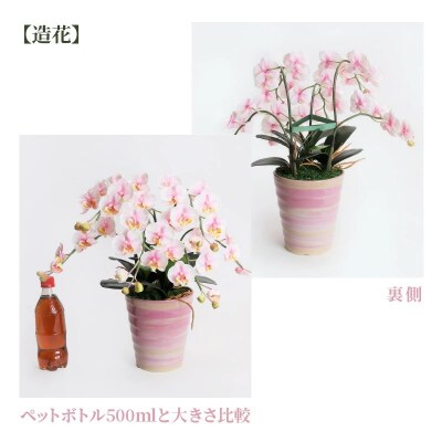 綺麗で丈夫な三河陶器で贈る 光触媒胡蝶蘭小輪3本立(ローズピンクの陶器×桃色の花)　H100-047