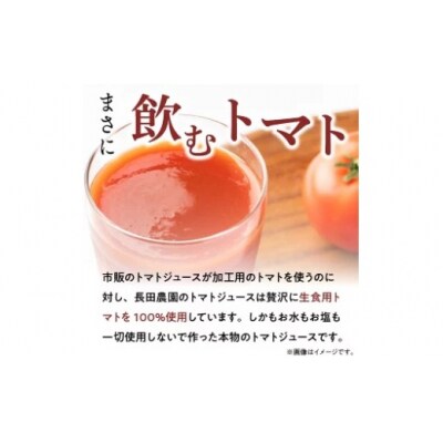 【個数限定】毎日の習慣に!トマト100%贅沢なトマトジュース 6回定期便　H004-215
