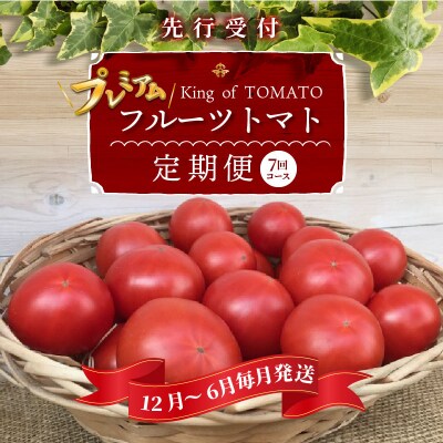 12月～6月毎月発送 プレミアムフルーツトマトの定期便 7回コース H004-193