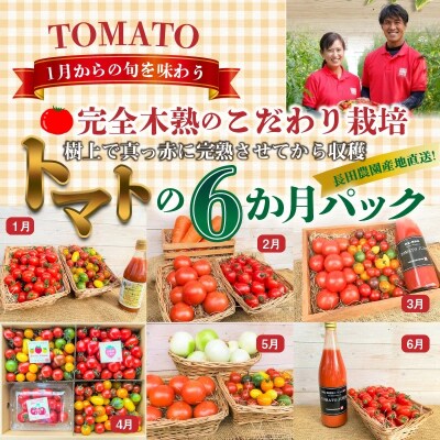 【大好評の定期便】1月～6月毎月発送!6か月楽しめる長田農園旬のスペシャル定期便　H004-140