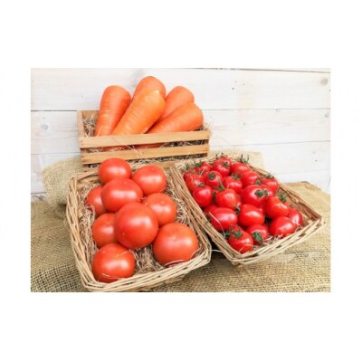 【大好評の定期便】1月～6月毎月発送!6か月楽しめる長田農園旬のスペシャル定期便 H004-206