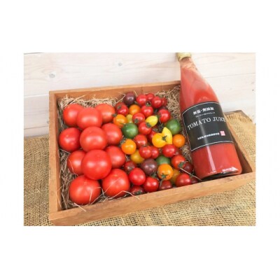 【大好評の定期便】1月～6月毎月発送!6か月楽しめる長田農園旬のスペシャル定期便 H004-206