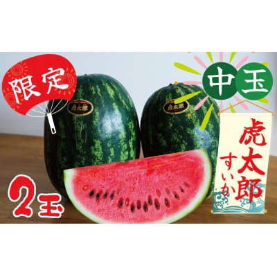 〈予約受付〉【2027年発送】夏の風物詩 中玉すいか「虎太郎西瓜」2玉 H141-016
