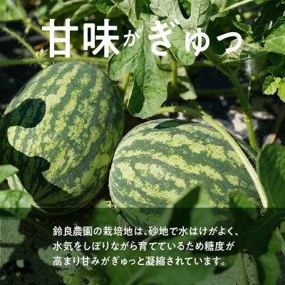 〈予約受付〉【2027年発送】夏の風物詩 中玉すいか「虎太郎西瓜」2玉 H141-016