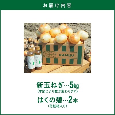 【事前受付】ブランド新玉ねぎ「旬玉」と新玉ねぎ白しょうゆソース「はくの碧」のセット　H105-059