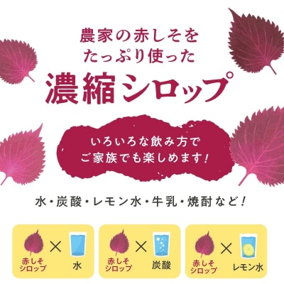 【碧南産赤しそ使用 】さわやかな甘み!農家が作った赤しそシロップ 600ml×2本 H165-004