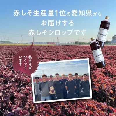【碧南産赤しそ使用 】さわやかな甘み!農家が作った赤しそシロップ 600ml×2本 H165-004