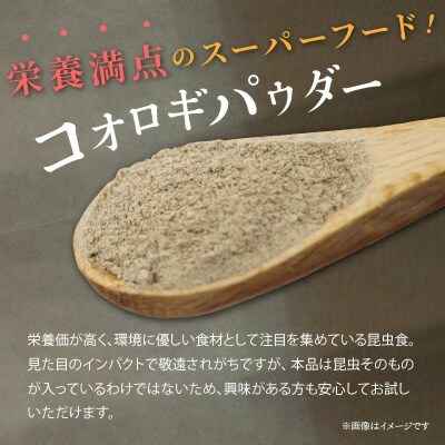 【スーパーフード】昆虫食 コオロギパウダー アーモンド&カシューナッツ H059-051