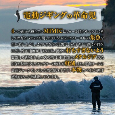 DENJIG MIMIC CPSG 280g ステンレス製 電動ジギング専用ジグH153-138