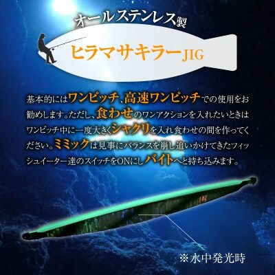 DENJIG MIMIC SGCW 280g ステンレス製 電動ジギング専用ジグH153-137