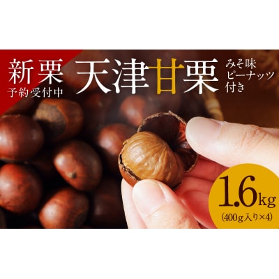 (予約受付)この道50年の職人が焼く、やさしい甘みたっぷり!「天津甘栗」1.6kg H045-052