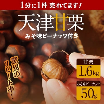 この道50年の職人が焼く、やさしい甘みたっっっぷり!「天津甘栗」1.6kg　H045-052