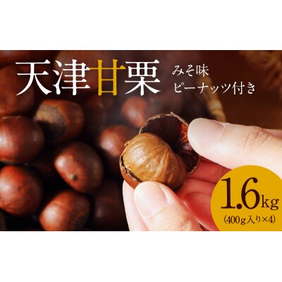 この道50年の職人が焼く、やさしい甘みたっぷり!「天津甘栗」1.6kg H045-076