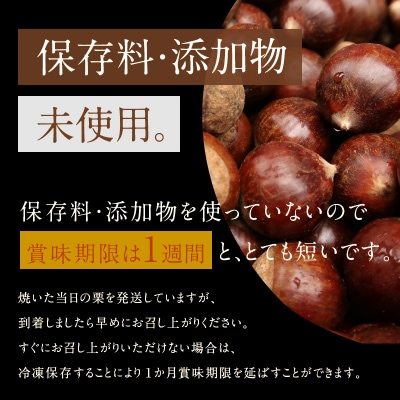 この道50年の職人が焼く、やさしい甘みたっっっぷり!「天津甘栗」1.6kg　H045-052
