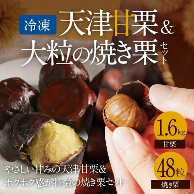 (予約受付)【冷凍】天津甘栗1.6kg&大粒の焼き栗セット　H045-055