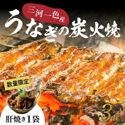 【今だけ肝焼き1パック付き】土用丑・お盆にお届け 三河一色産うなぎの炭火焼 3尾  H007-108