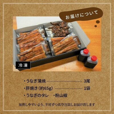 【今だけ肝焼き1パック付き】土用丑・お盆にお届け 三河一色産うなぎの炭火焼 3尾  H007-108