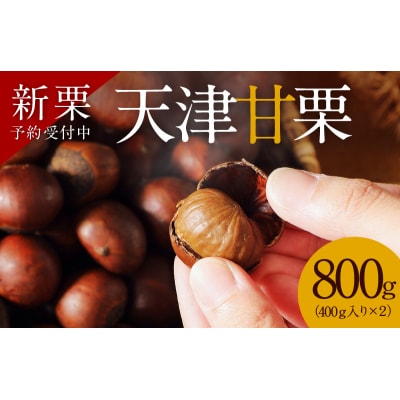 (予約受付)この道50年の職人が焼く、やさしい甘みたっぷりの「天津甘栗」800g! H045-053